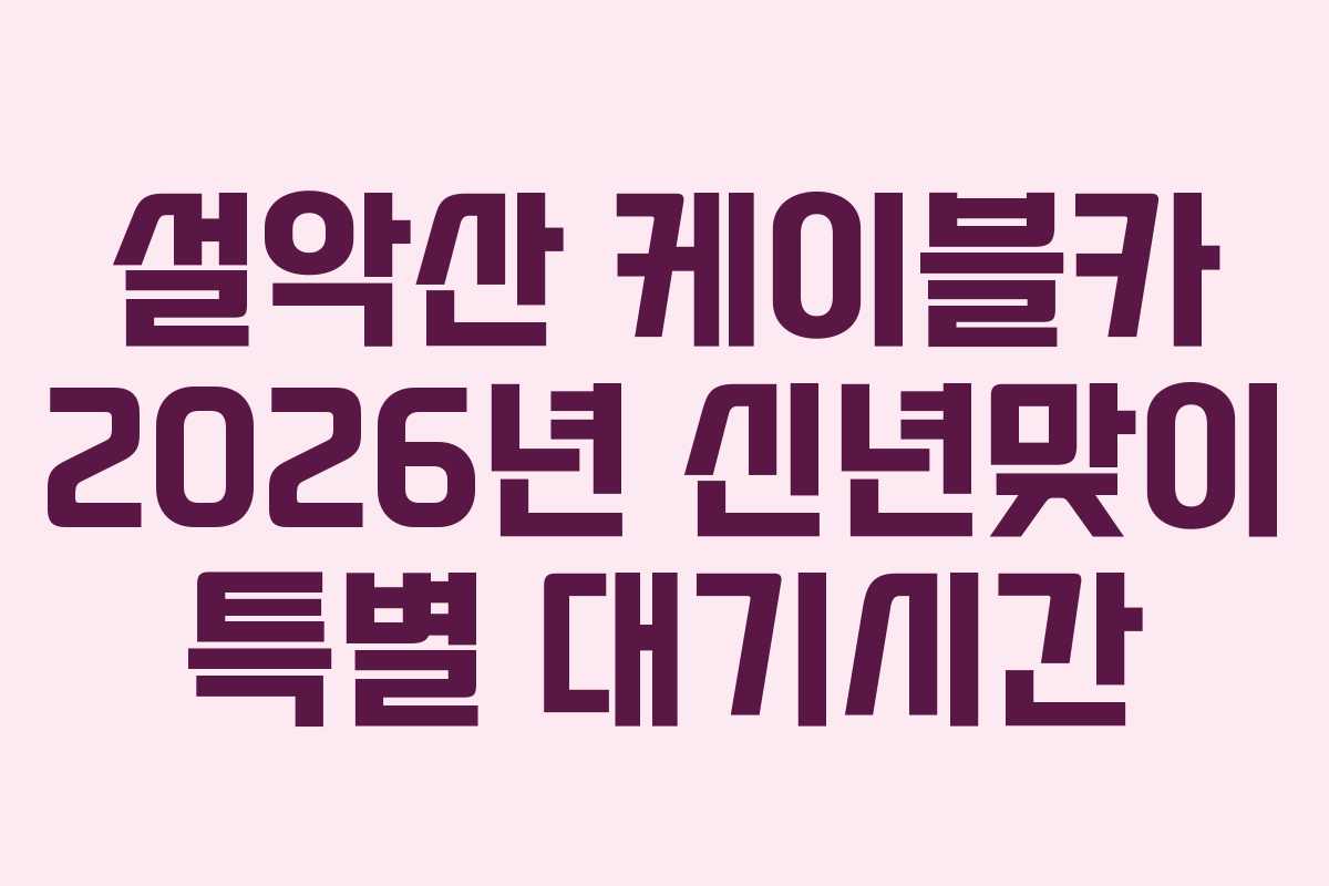 설악산 케이블카 2026년 신년맞이 특별 대기시간