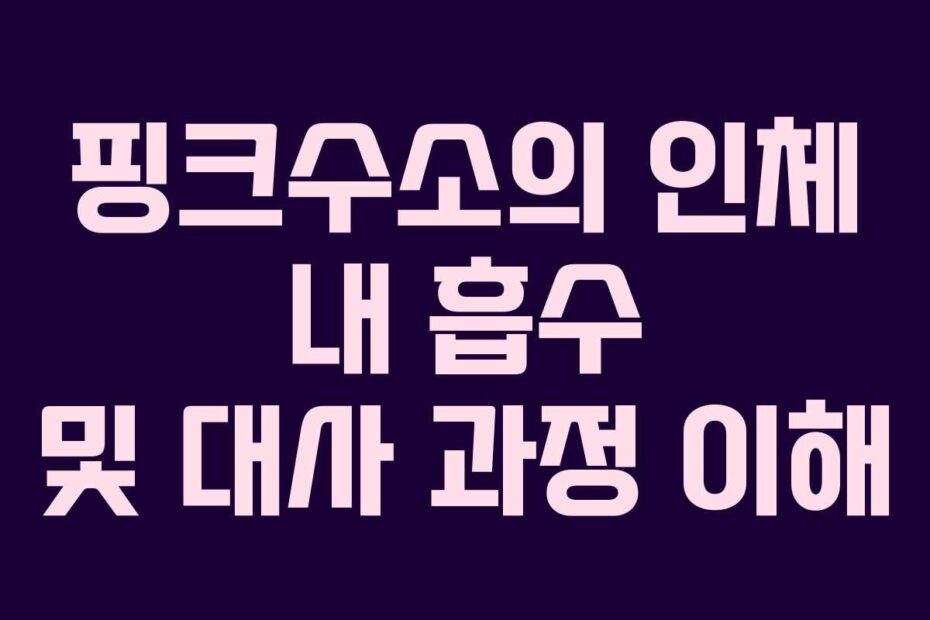 핑크수소의 인체 내 흡수 및 대사 과정 이해