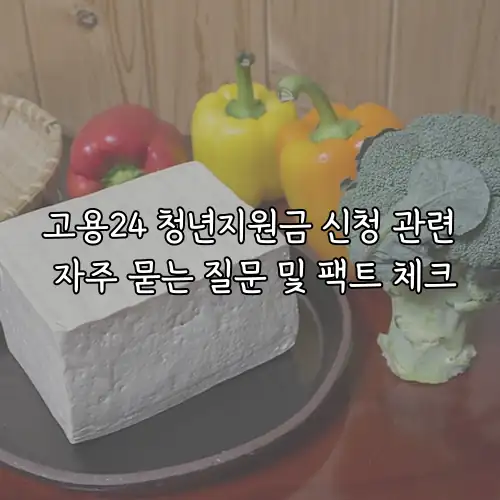 고용24 청년지원금 신청 관련 자주 묻는 질문 및 팩트 체크