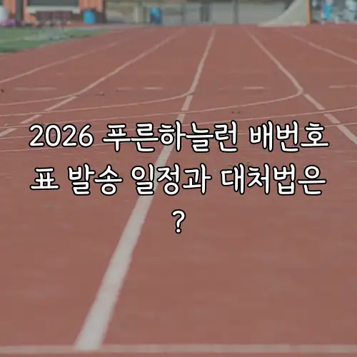 2026 푸른하늘런 배번호표 발송 일정과 대처법은?
