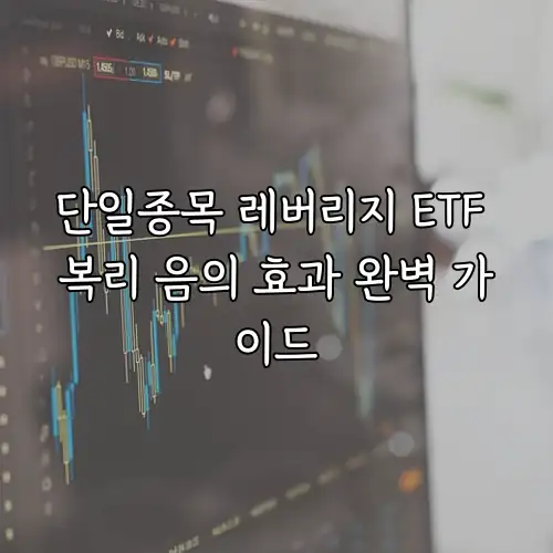 단일종목 레버리지 ETF 복리 음의 효과 완벽 가이드