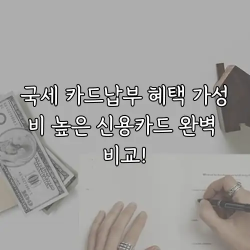 국세 카드납부 혜택 가성비 높은 신용카드 완벽 비교!