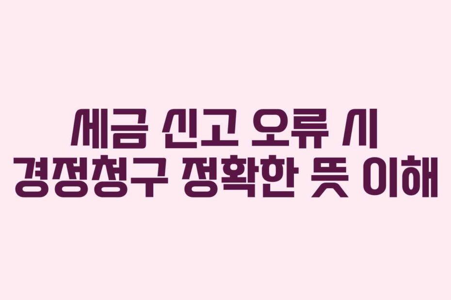 세금 신고 오류 시 경정청구 정확한 뜻 이해