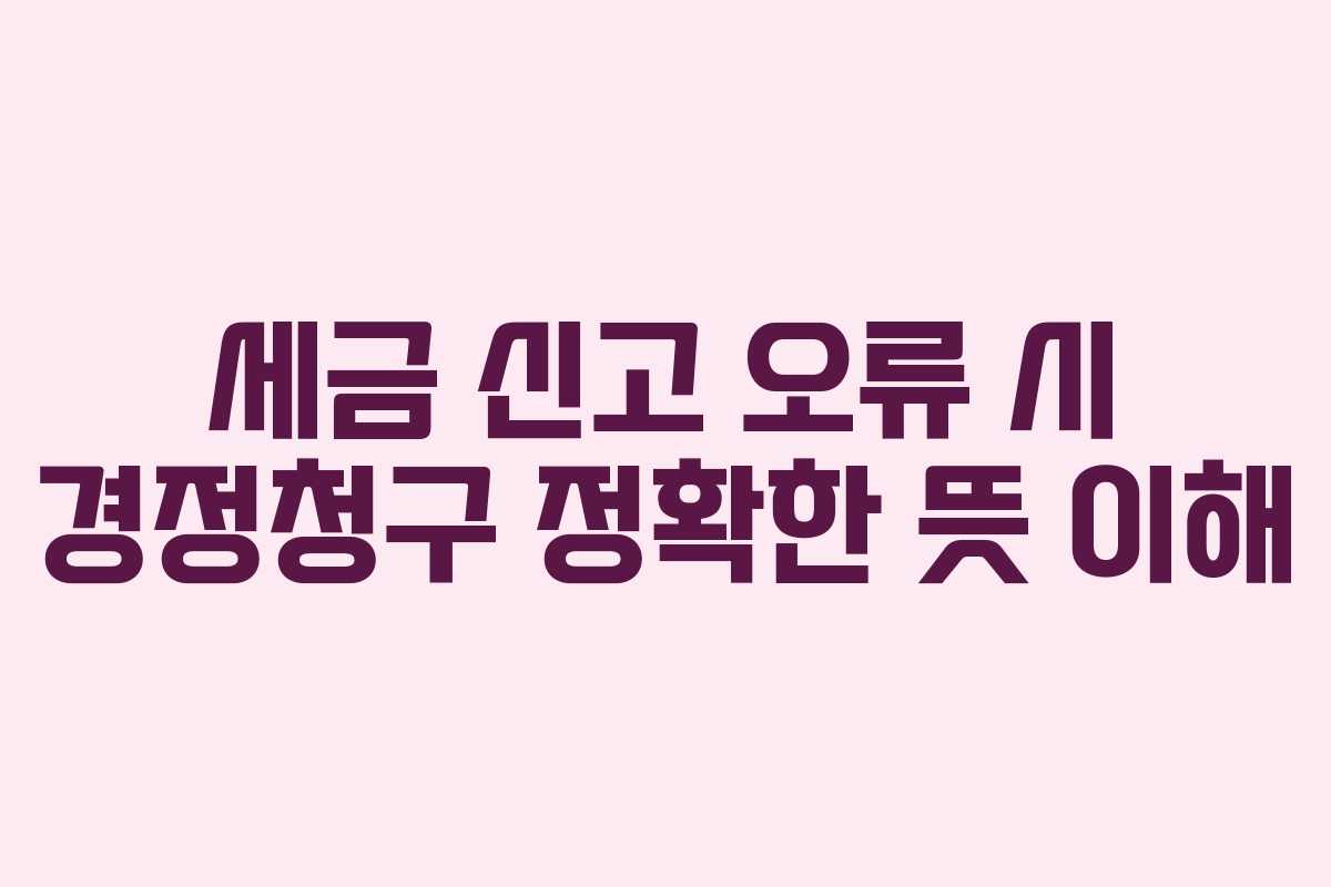 세금 신고 오류 시 경정청구 정확한 뜻 이해