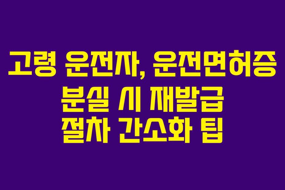 고령 운전자, 운전면허증 분실 시 재발급 절차 간소화 팁