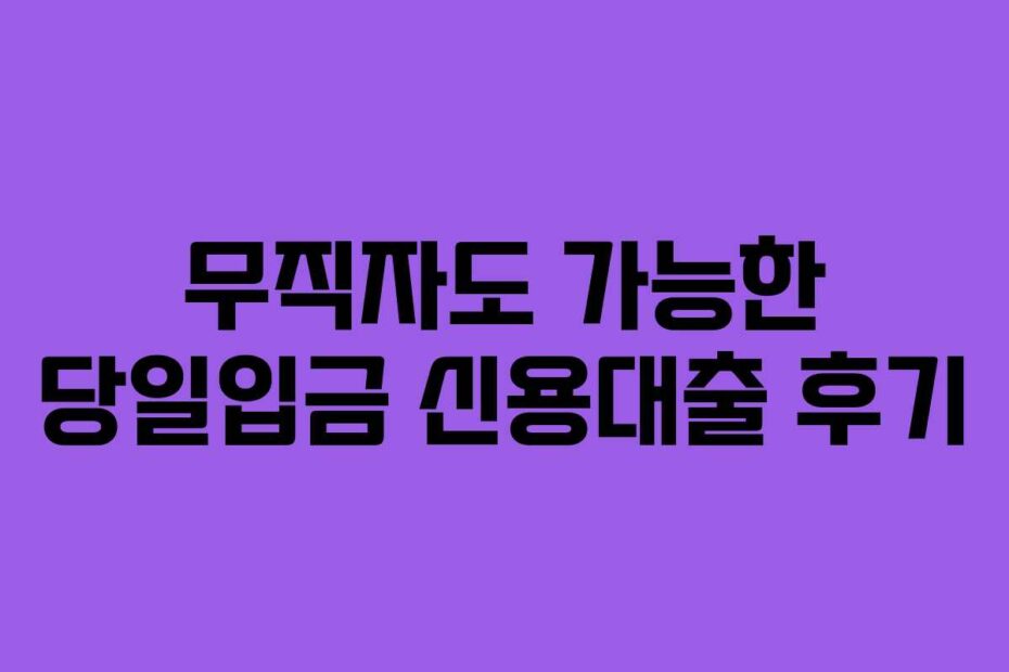 무직자도 가능한 당일입금 신용대출 후기