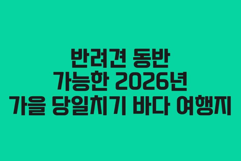반려견 동반 가능한 2026년 가을 당일치기 바다 여행지