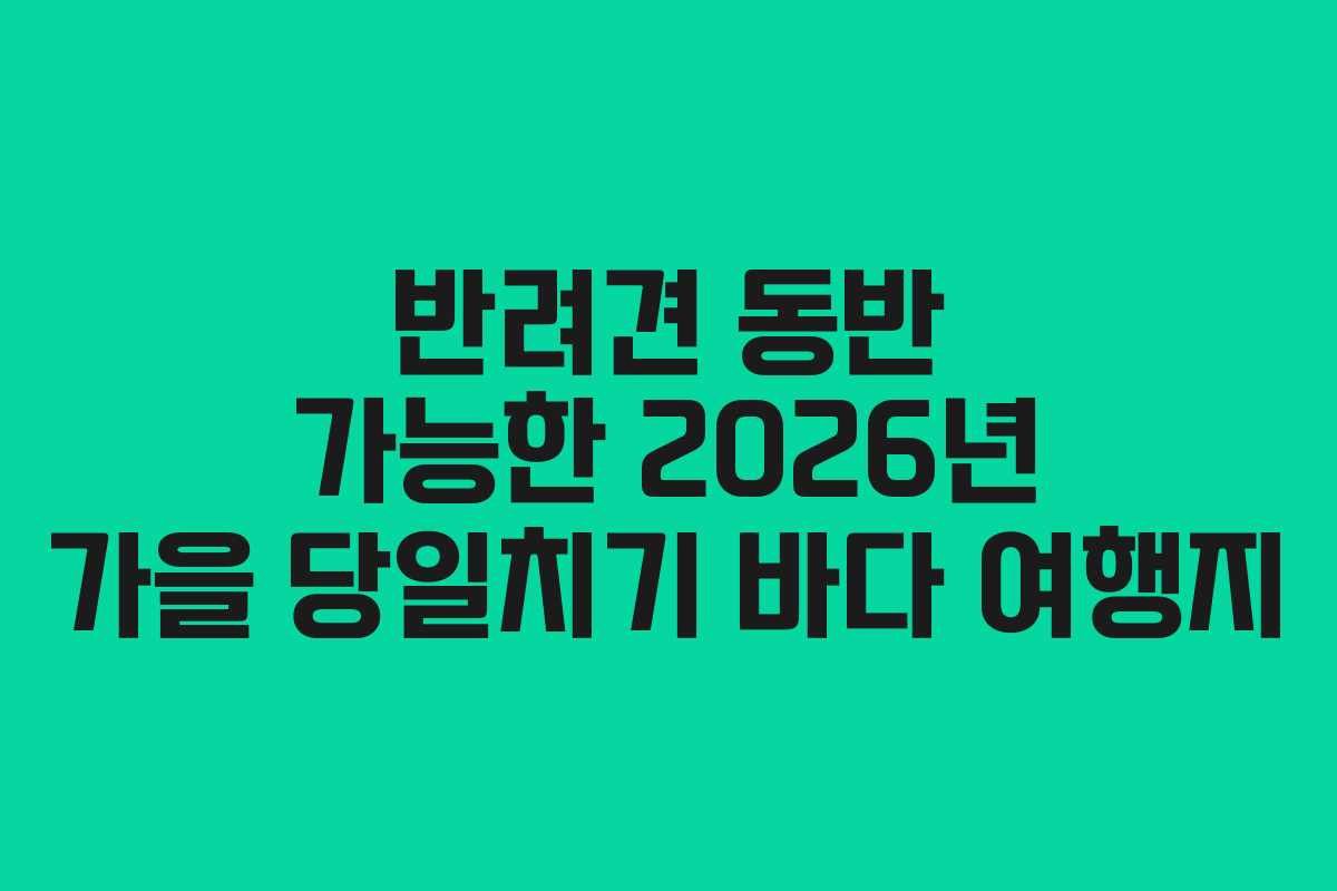 반려견 동반 가능한 2026년 가을 당일치기 바다 여행지