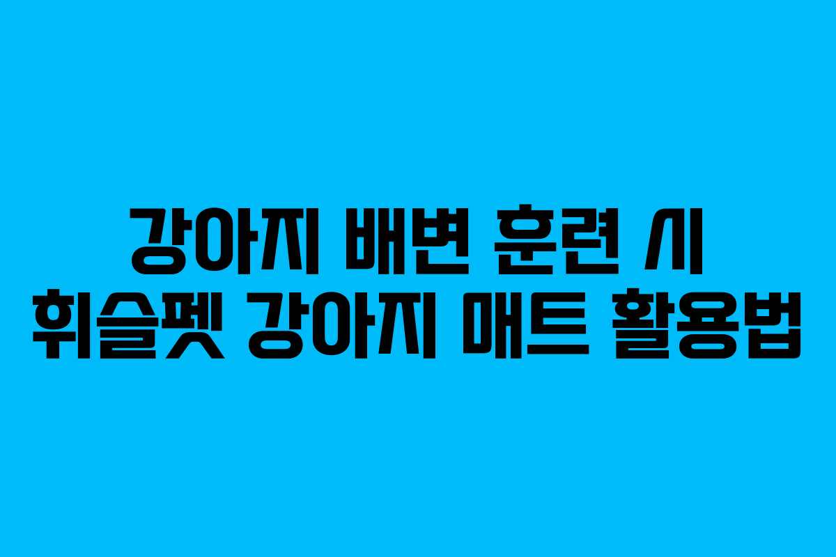 강아지 배변 훈련 시 휘슬펫 강아지 매트 활용법