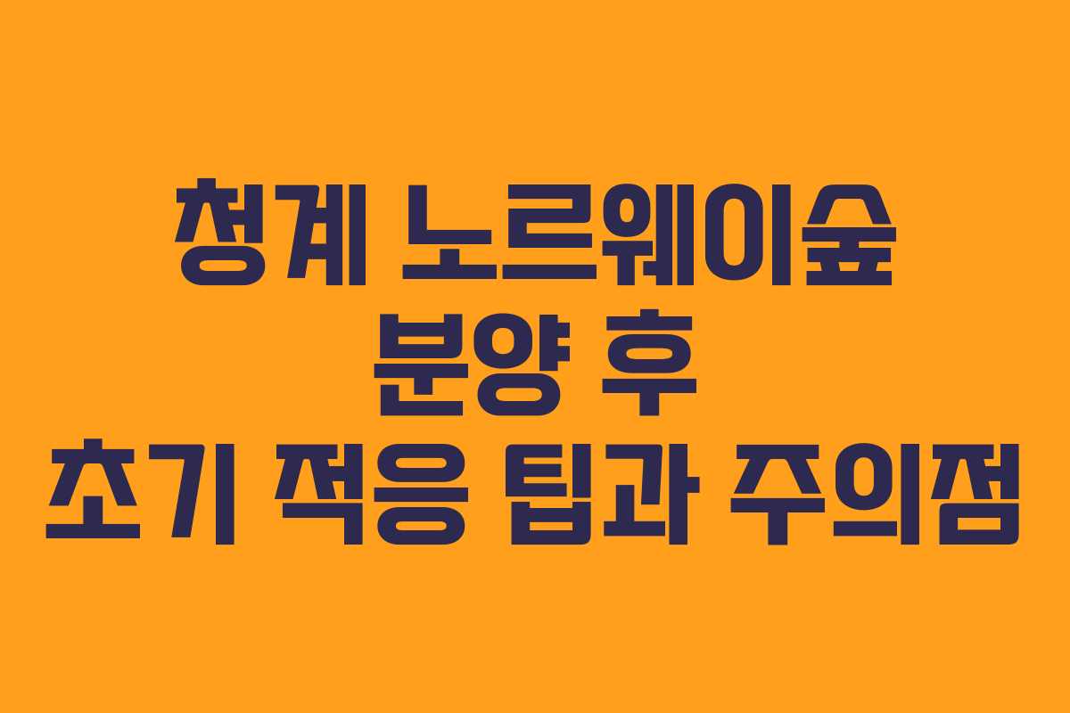 청계 노르웨이숲 분양 후 초기 적응 팁과 주의점