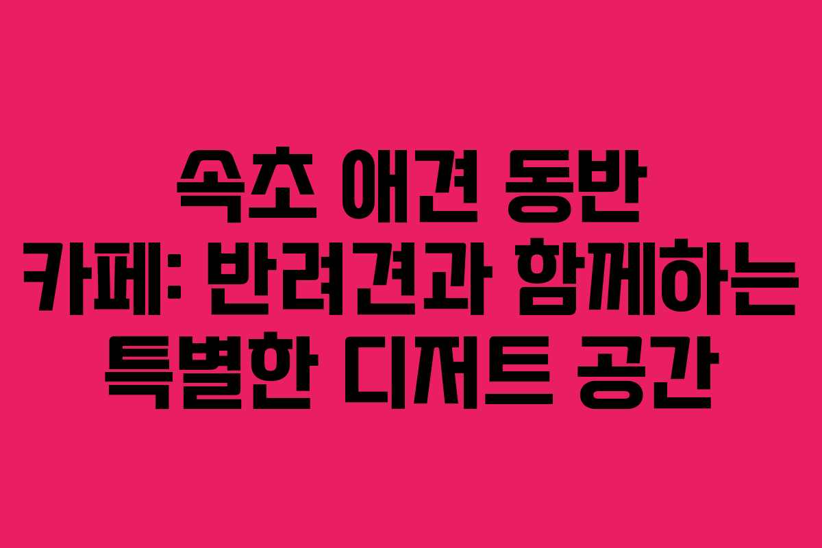속초 애견 동반 카페: 반려견과 함께하는 특별한 디저트 공간