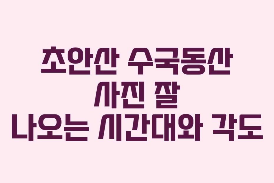 초안산 수국동산 사진 잘 나오는 시간대와 각도
